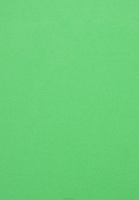 mujer abrigo corto verde Anna Field 84Z8715